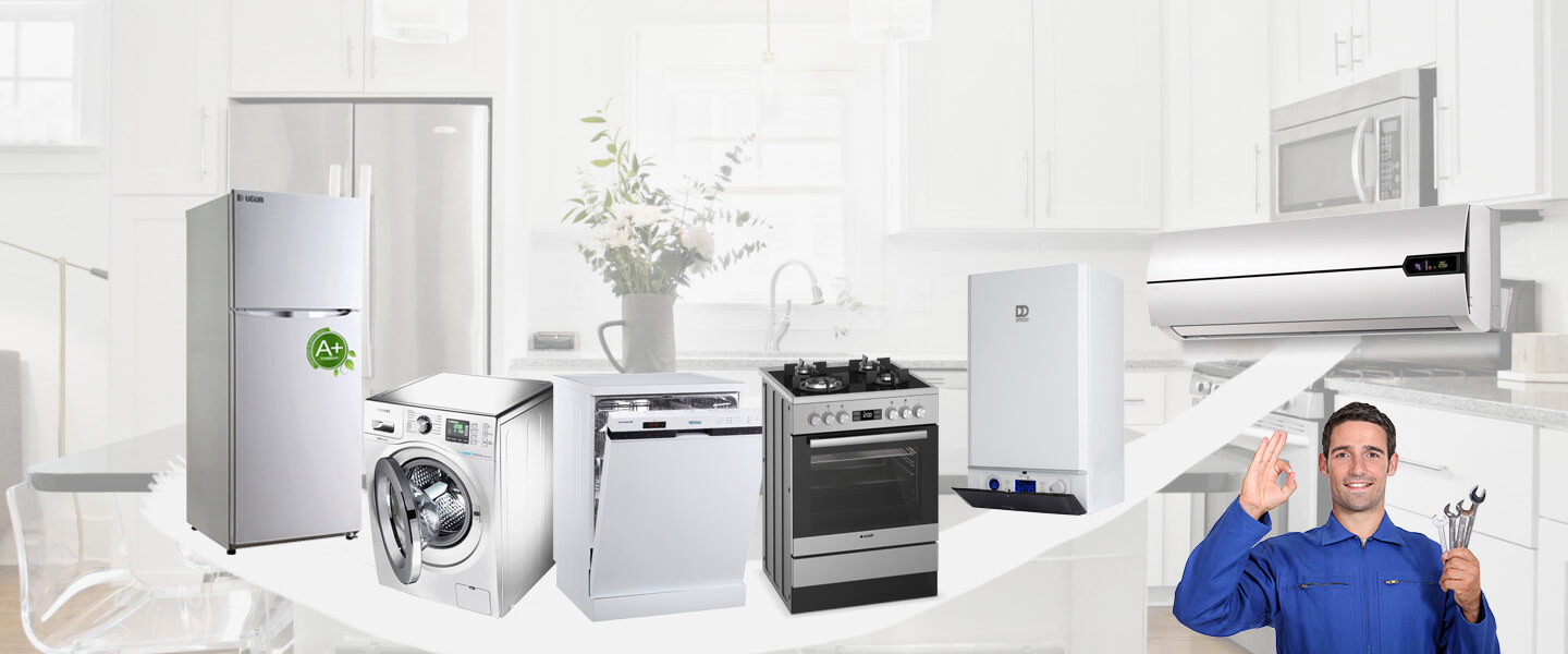 Gökçebey Gaggenau Servisi